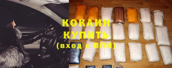 прущие грибы Ладушкин