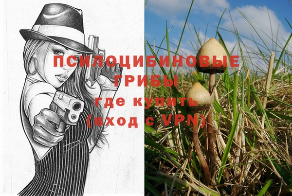 гашишное масло Инсар