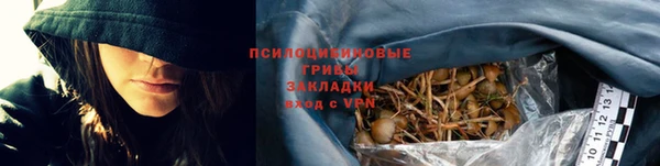 трава Иннополис