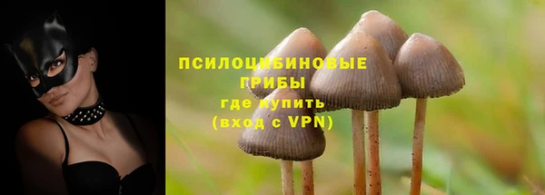 гашишное масло Инсар