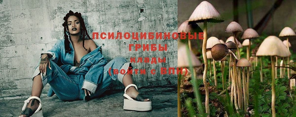 трава Иннополис