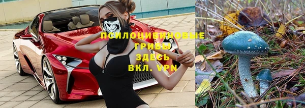 трава Иннополис