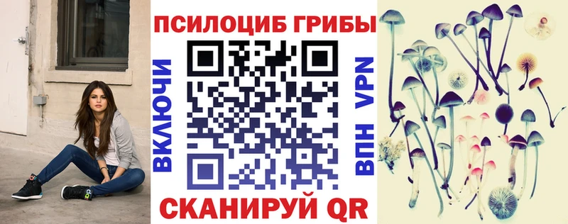 Галлюциногенные грибы Psilocybe Афипский